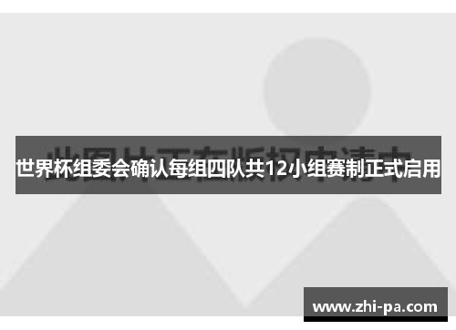 世界杯组委会确认每组四队共12小组赛制正式启用